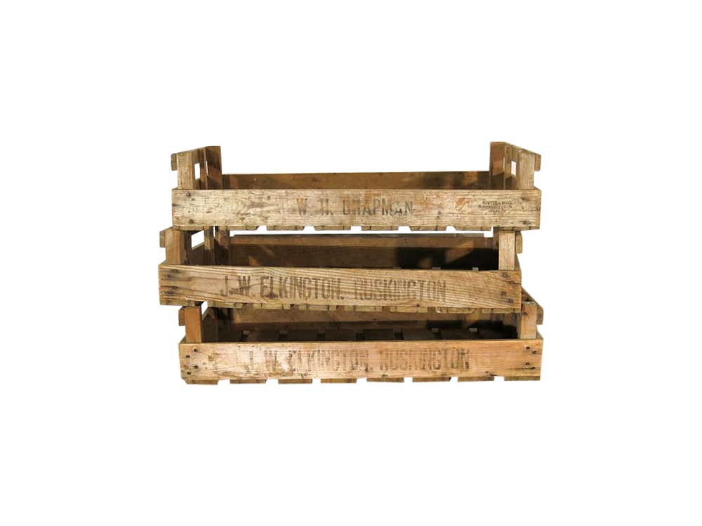 Featured image for “Chitting Trays”