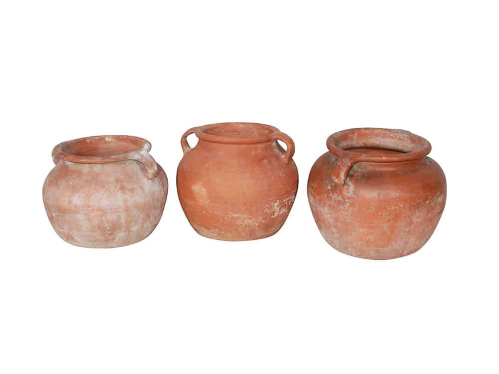 Featured image for “Madeira Pots”