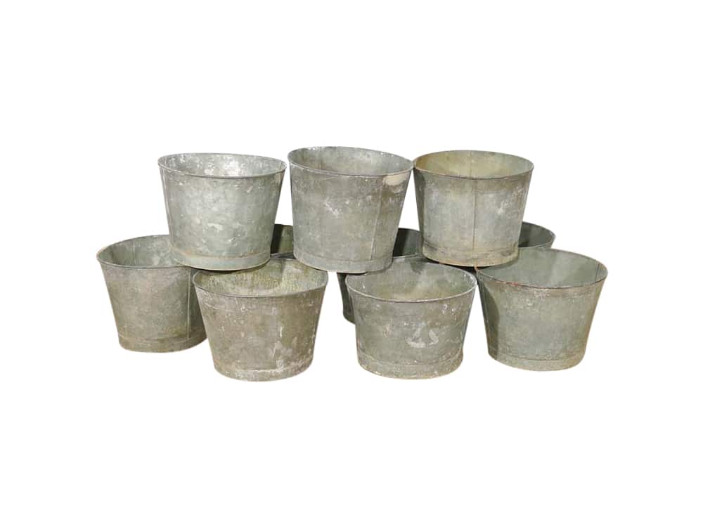 Featured image for “Titus Buckets”