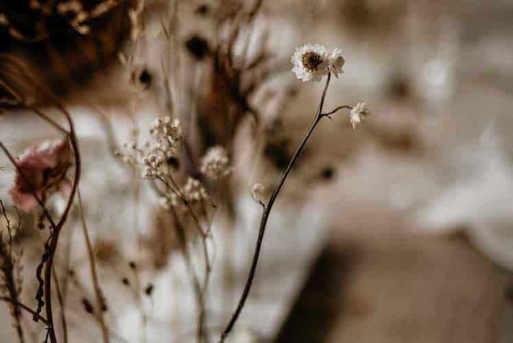UNBRIDLED LOVE