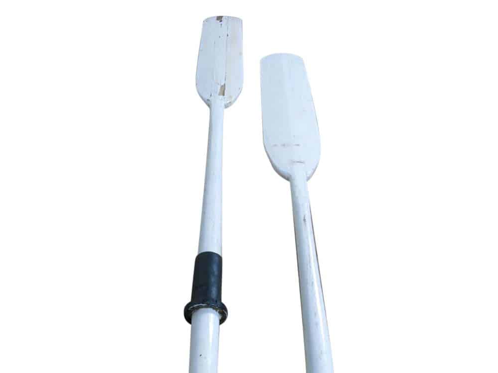 Featured image for “Crew Oars”