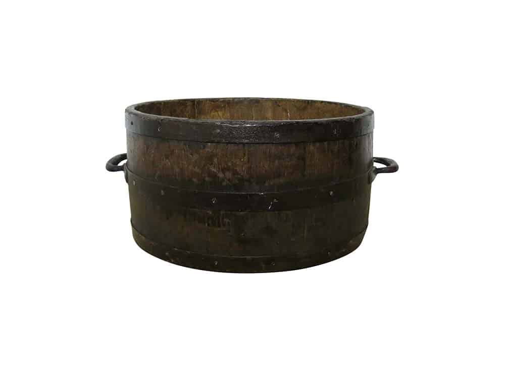 Featured image for “Darwin Tub”