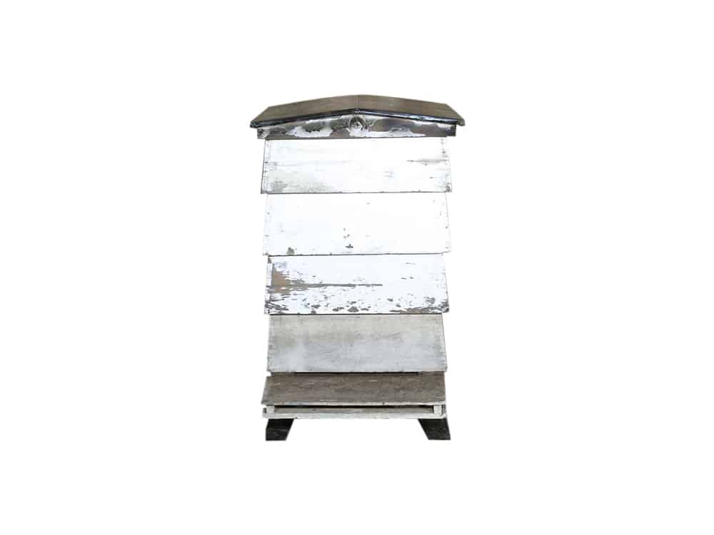 Featured image for “Beehive”