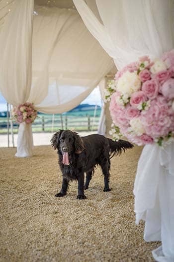 Reader Event with BRIDES Magazine