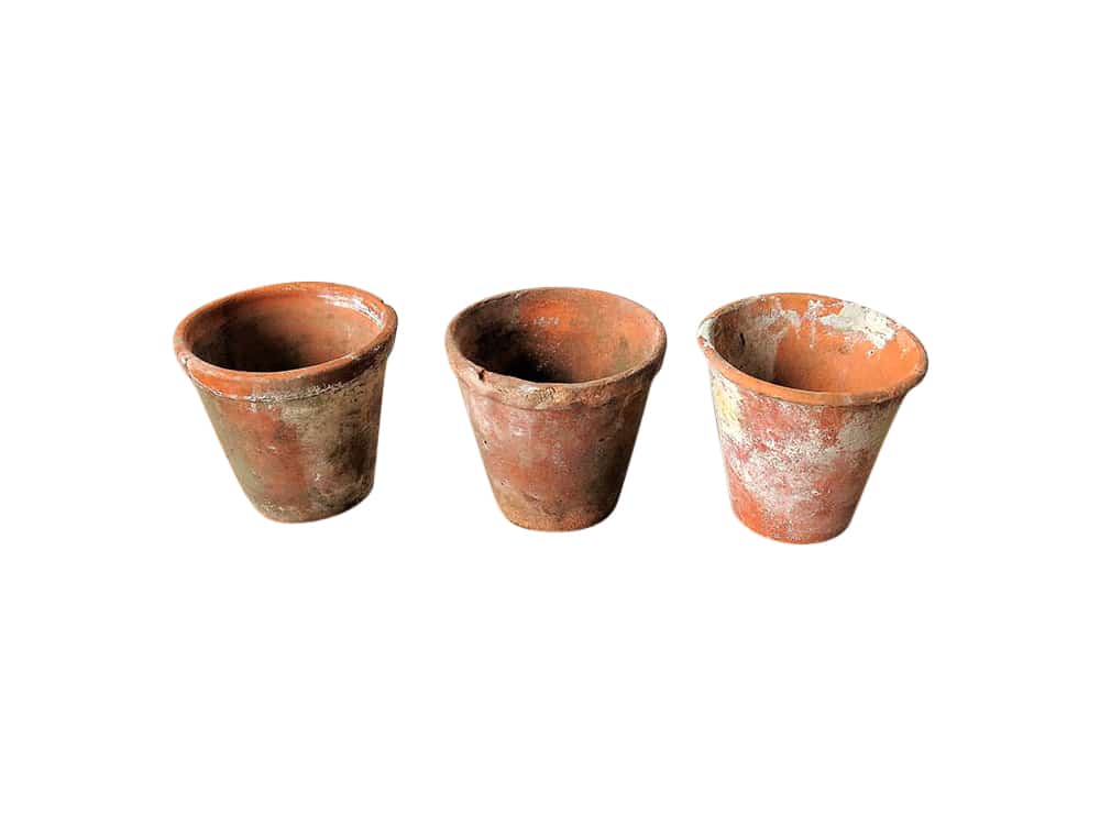 Ceramic Pots for Hire