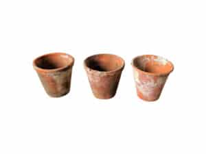 Ceramic Pots for Hire
