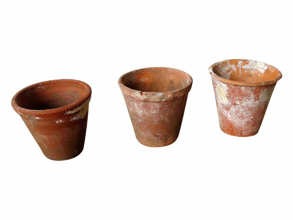 Ceramic Pots for Hire