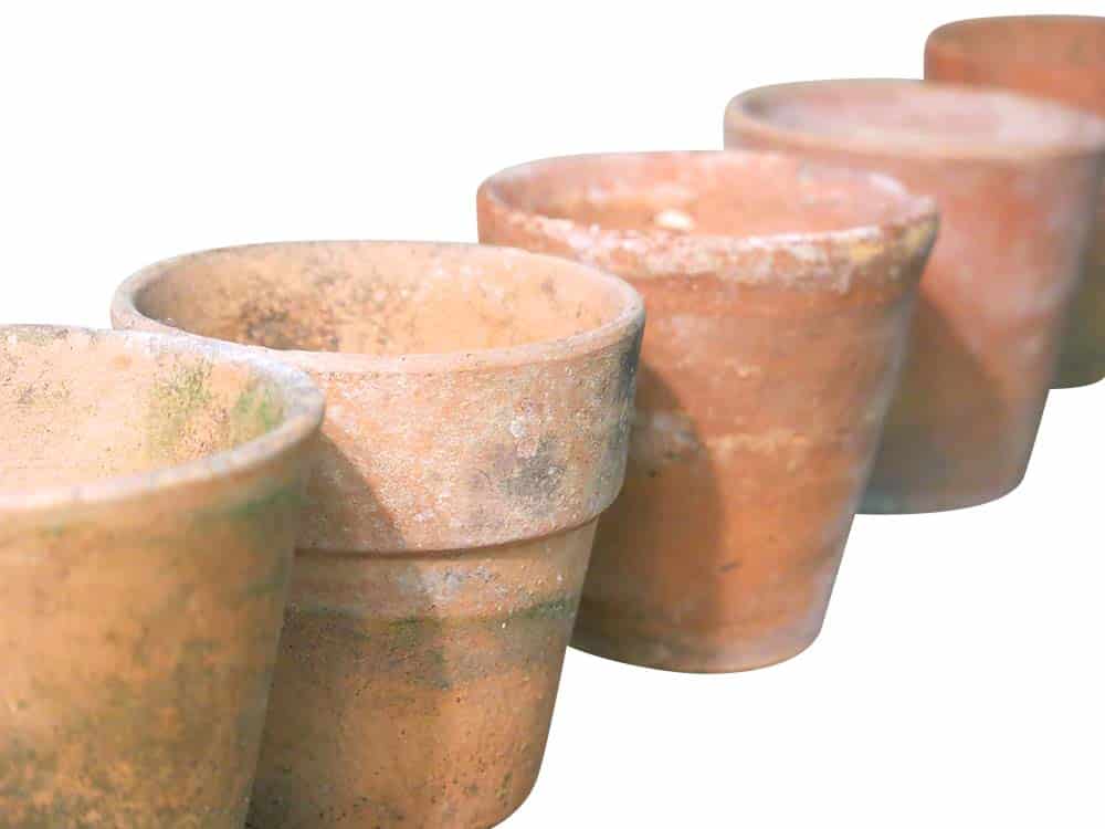 Vintage Terracotta Pots for Hire