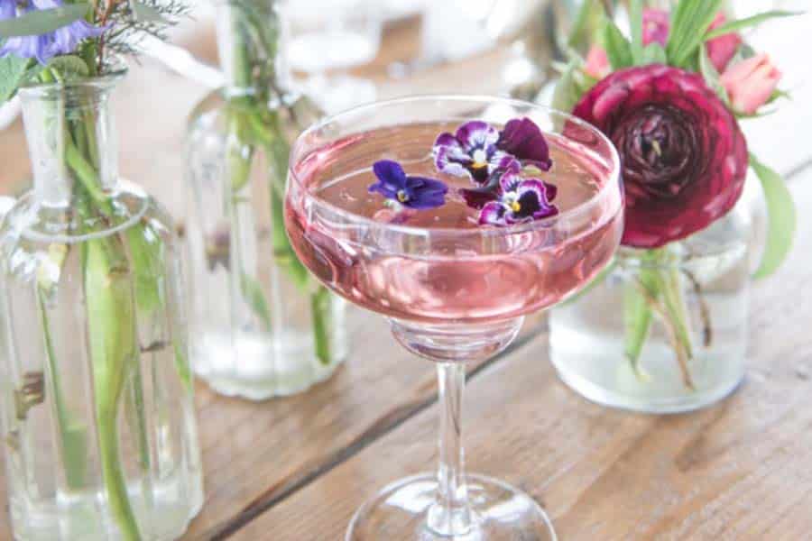 Pink Colour Inspiration