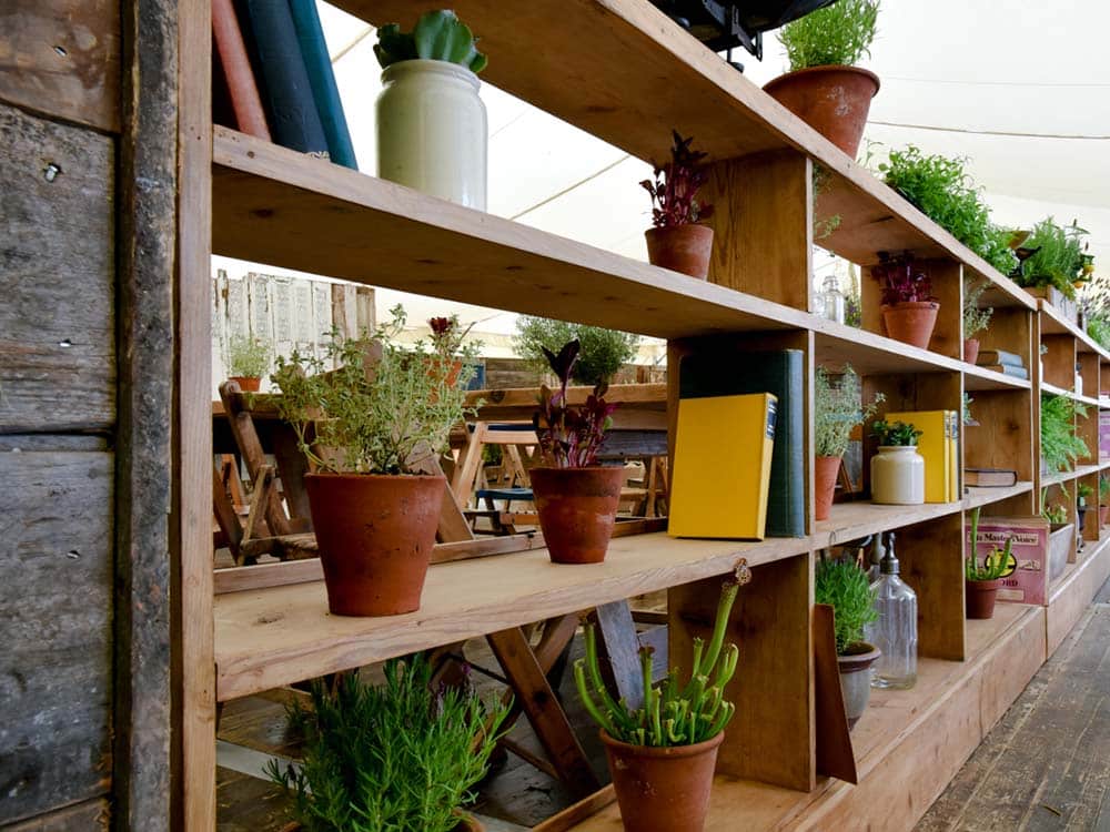 Vintage Terracotta Pots for Hire