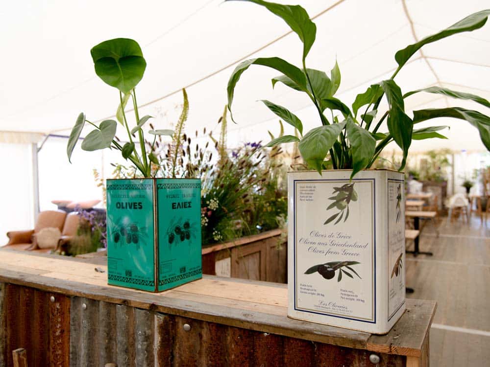 Large Olive Oil Tins for Hire