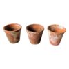 Ceramic Pots for Hire Ceramic Pots for Hire