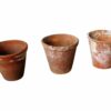 Ceramic Pots for Hire Ceramic Pots for Hire