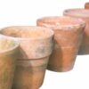 Vintage Terracotta Pots for Hire Vintage Terracotta Pots for Hire