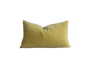Velvet Cushion for Hire