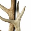 Antlers-Carousel-Image-1-a Vintage Antlers for Hire Scotland