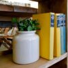aida-jars-a Decorative Jars for Hire