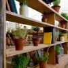 mimi-pots-a Vintage Terracotta Pots for Hire